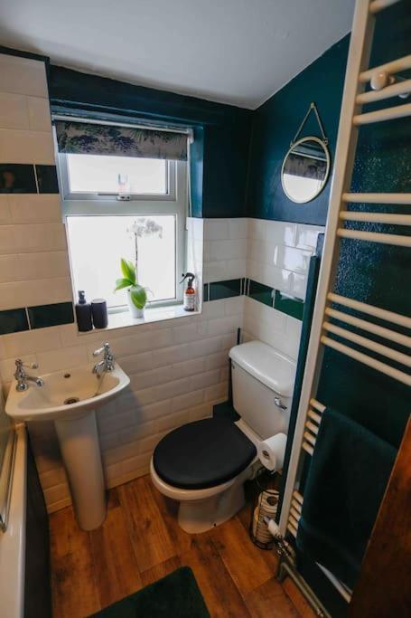 Villa *Stunning* The Botanist Rest Ventnor Iow Exterior foto
